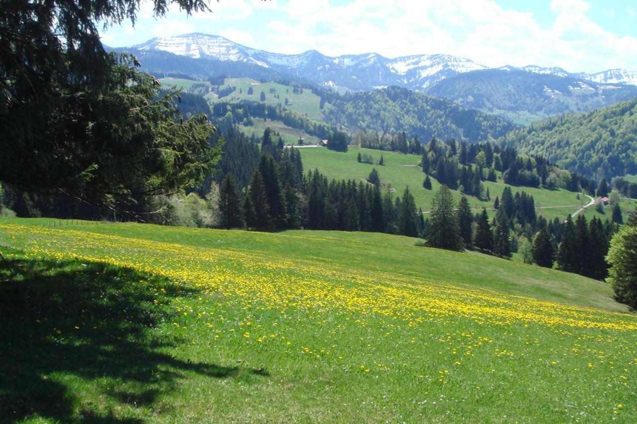 Hotel Allgaeuer Hof Oberstaufen Exteriör bild