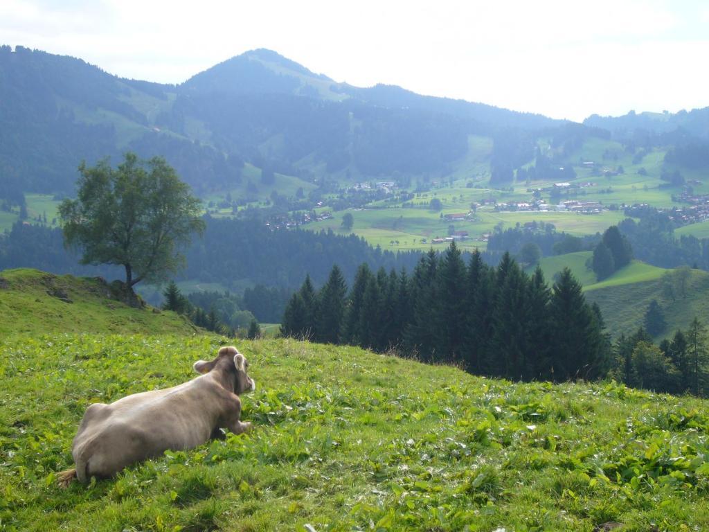 Hotel Allgaeuer Hof Oberstaufen Exteriör bild