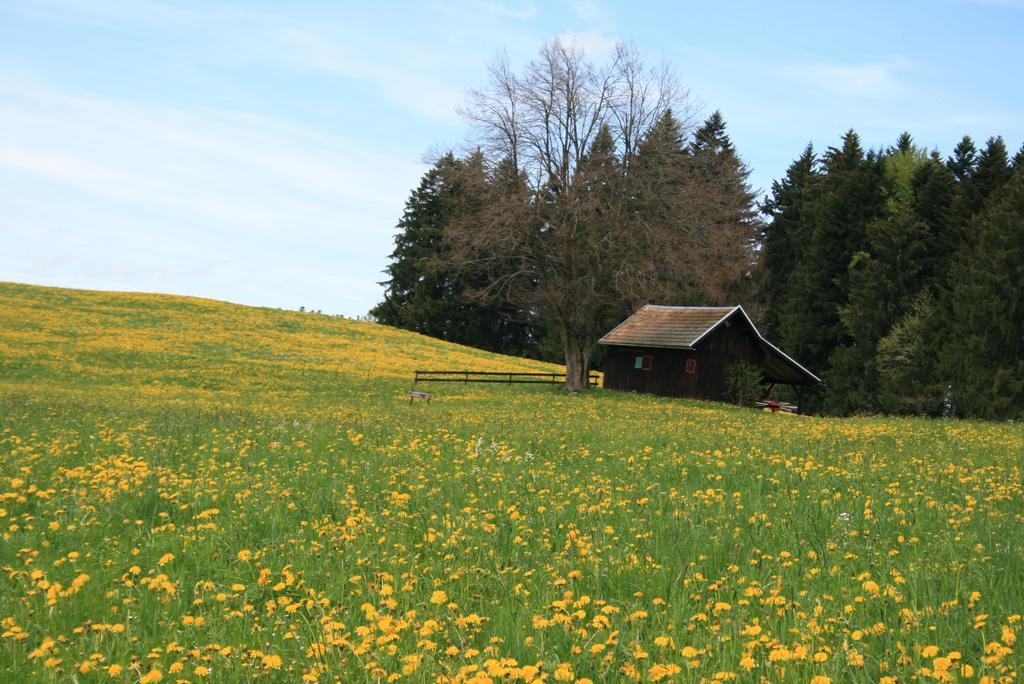 Hotel Allgaeuer Hof Oberstaufen Exteriör bild